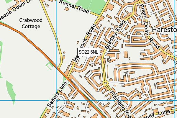 SO22 6NL map - OS VectorMap District (Ordnance Survey) SO22 6NL map - OS VectorMap District (Ordnance Survey)