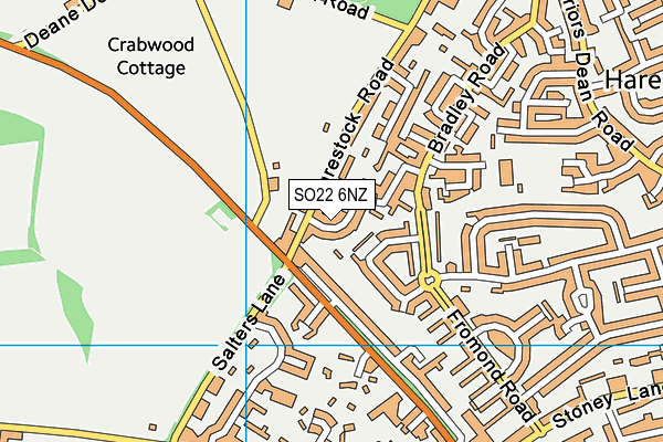 SO22 6NZ map - OS VectorMap District (Ordnance Survey) SO22 6NZ map - OS VectorMap District (Ordnance Survey)