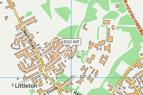 SO22 6QF map - OS VectorMap District (Ordnance Survey) SO22 6QF map - OS VectorMap District (Ordnance Survey)