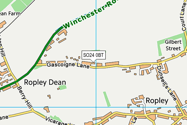 SO24 0BT map - OS VectorMap District (Ordnance Survey) SO24 0BT map - OS VectorMap District (Ordnance Survey)