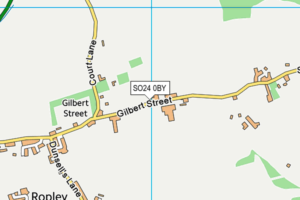 SO24 0BY map - OS VectorMap District (Ordnance Survey) SO24 0BY map - OS VectorMap District (Ordnance Survey)
