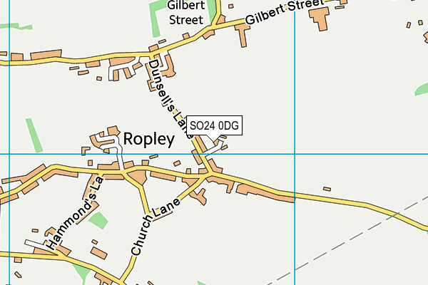 SO24 0DG map - OS VectorMap District (Ordnance Survey) SO24 0DG map - OS VectorMap District (Ordnance Survey)