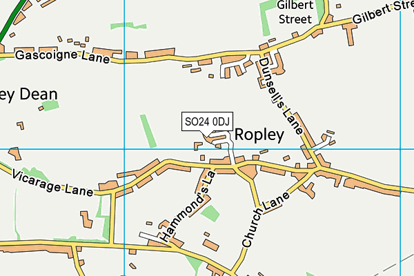 SO24 0DJ map - OS VectorMap District (Ordnance Survey) SO24 0DJ map - OS VectorMap District (Ordnance Survey)