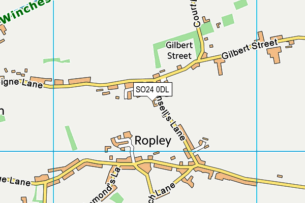 SO24 0DL map - OS VectorMap District (Ordnance Survey) SO24 0DL map - OS VectorMap District (Ordnance Survey)