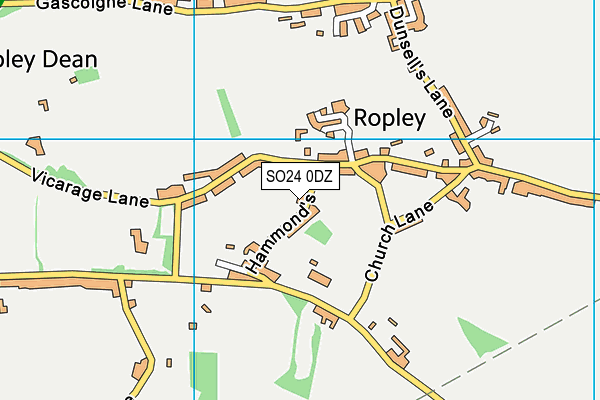 SO24 0DZ map - OS VectorMap District (Ordnance Survey)