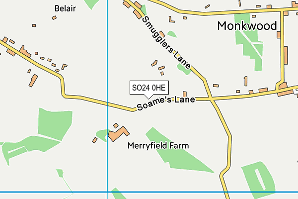 SO24 0HE map - OS VectorMap District (Ordnance Survey) SO24 0HE map - OS VectorMap District (Ordnance Survey)