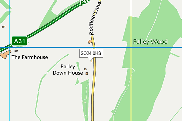 SO24 0HS map - OS VectorMap District (Ordnance Survey) SO24 0HS map - OS VectorMap District (Ordnance Survey)
