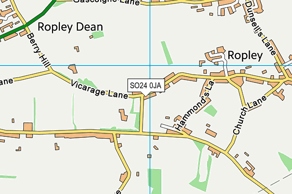 SO24 0JA map - OS VectorMap District (Ordnance Survey) SO24 0JA map - OS VectorMap District (Ordnance Survey)
