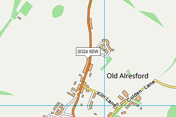 SO24 9DW map - OS VectorMap District (Ordnance Survey) SO24 9DW map - OS VectorMap District (Ordnance Survey)