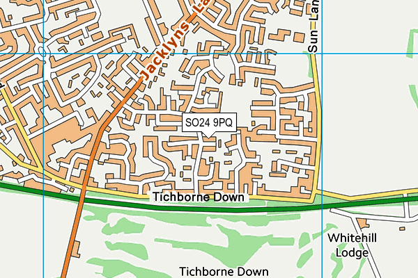 SO24 9PQ map - OS VectorMap District (Ordnance Survey) SO24 9PQ map - OS VectorMap District (Ordnance Survey)
