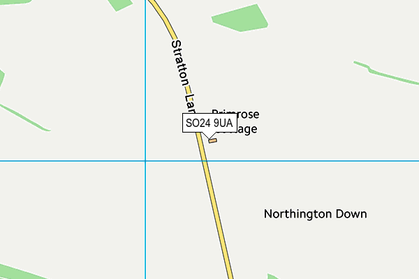 SO24 9UA map - OS VectorMap District (Ordnance Survey) SO24 9UA map - OS VectorMap District (Ordnance Survey)