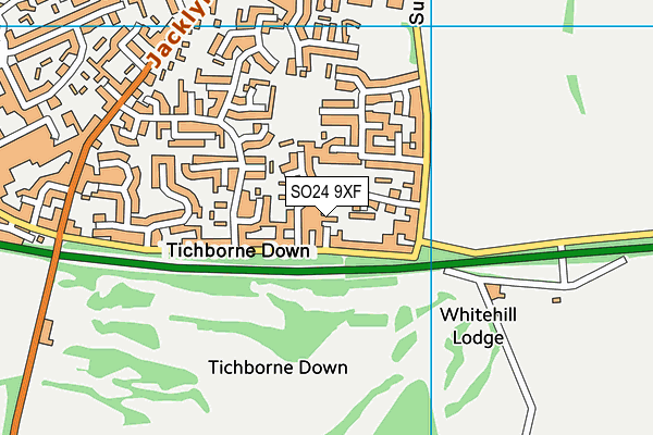 SO24 9XF map - OS VectorMap District (Ordnance Survey) SO24 9XF map - OS VectorMap District (Ordnance Survey)