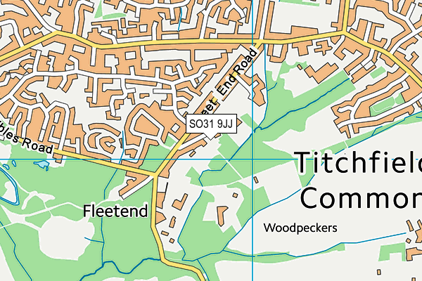 SO31 9JJ map - OS VectorMap District (Ordnance Survey) SO31 9JJ map - OS VectorMap District (Ordnance Survey)
