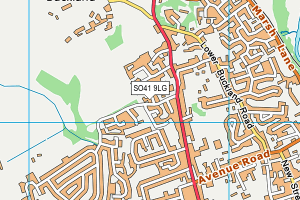 SO41 9LG map - OS VectorMap District (Ordnance Survey) SO41 9LG map - OS VectorMap District (Ordnance Survey)