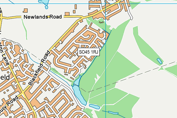 SO45 1RJ map - OS VectorMap District (Ordnance Survey) SO45 1RJ map - OS VectorMap District (Ordnance Survey)