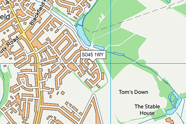 SO45 1WY map - OS VectorMap District (Ordnance Survey)