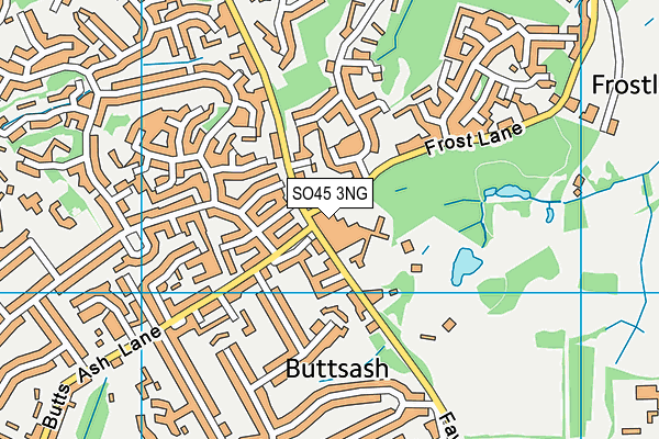 SO45 3NG map - OS VectorMap District (Ordnance Survey) SO45 3NG map - OS VectorMap District (Ordnance Survey)