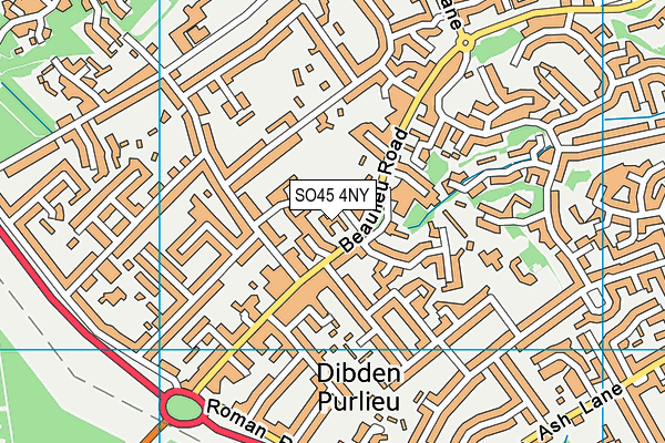 SO45 4NY map - OS VectorMap District (Ordnance Survey) SO45 4NY map - OS VectorMap District (Ordnance Survey)