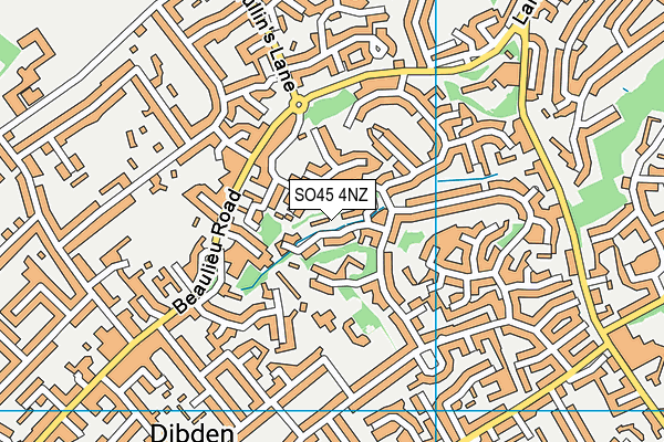 SO45 4NZ map - OS VectorMap District (Ordnance Survey)