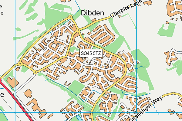 SO45 5TZ map - OS VectorMap District (Ordnance Survey) SO45 5TZ map - OS VectorMap District (Ordnance Survey)