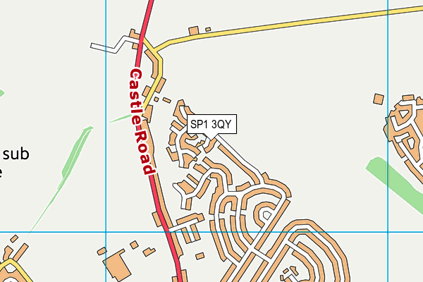 SP1 3QY map - OS VectorMap District (Ordnance Survey) SP1 3QY map - OS VectorMap District (Ordnance Survey)