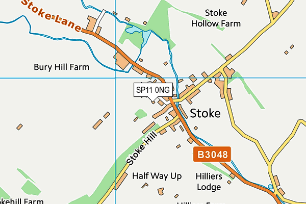 SP11 0NG map - OS VectorMap District (Ordnance Survey) SP11 0NG map - OS VectorMap District (Ordnance Survey)