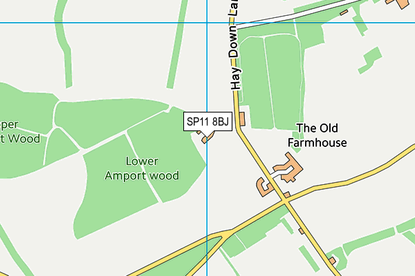 SP11 8BJ map - OS VectorMap District (Ordnance Survey) SP11 8BJ map - OS VectorMap District (Ordnance Survey)