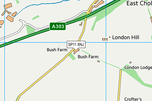 SP11 8NJ map - OS VectorMap District (Ordnance Survey) SP11 8NJ map - OS VectorMap District (Ordnance Survey)