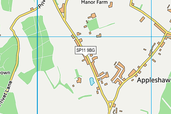 SP11 9BG map - OS VectorMap District (Ordnance Survey) SP11 9BG map - OS VectorMap District (Ordnance Survey)