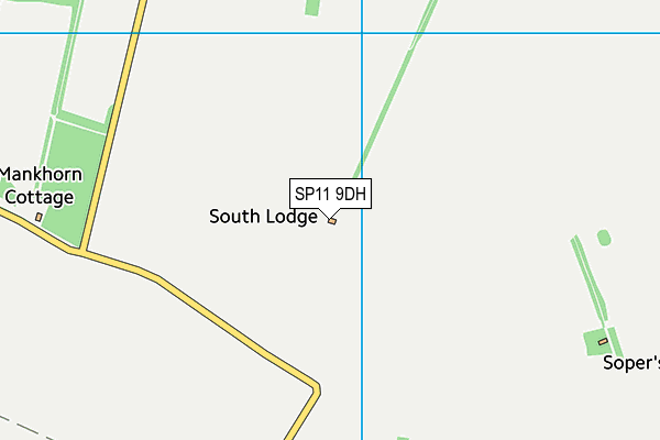 SP11 9DH map - OS VectorMap District (Ordnance Survey) SP11 9DH map - OS VectorMap District (Ordnance Survey)