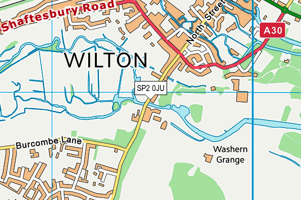 SP2 0JU map - OS VectorMap District (Ordnance Survey) SP2 0JU map - OS VectorMap District (Ordnance Survey)