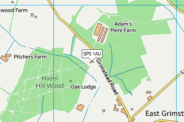 SP5 1AU map - OS VectorMap District (Ordnance Survey) SP5 1AU map - OS VectorMap District (Ordnance Survey)
