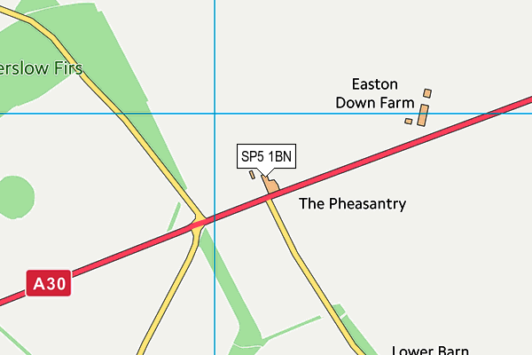 SP5 1BN map - OS VectorMap District (Ordnance Survey) SP5 1BN map - OS VectorMap District (Ordnance Survey)