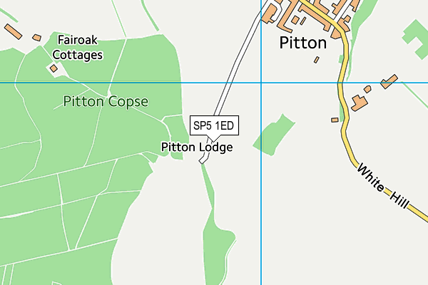 SP5 1ED map - OS VectorMap District (Ordnance Survey) SP5 1ED map - OS VectorMap District (Ordnance Survey)