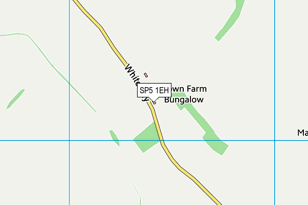 SP5 1EH map - OS VectorMap District (Ordnance Survey) SP5 1EH map - OS VectorMap District (Ordnance Survey)