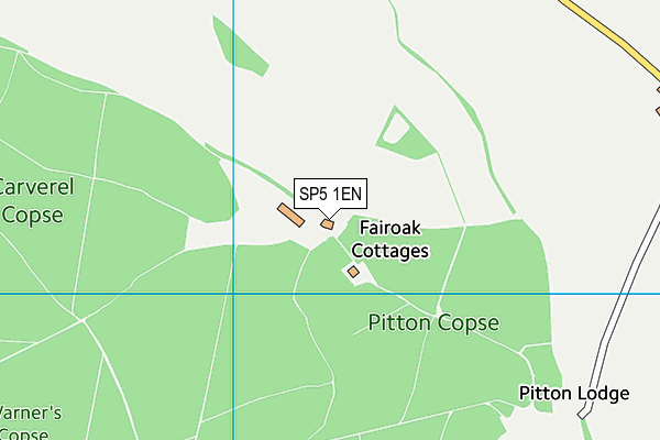 SP5 1EN map - OS VectorMap District (Ordnance Survey) SP5 1EN map - OS VectorMap District (Ordnance Survey)