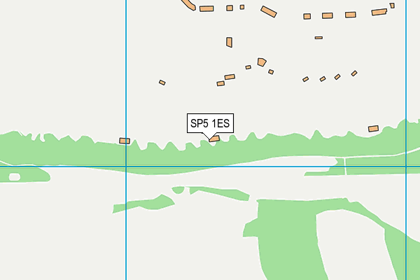SP5 1ES map - OS VectorMap District (Ordnance Survey) SP5 1ES map - OS VectorMap District (Ordnance Survey)
