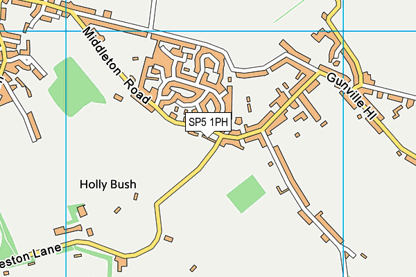 SP5 1PH map - OS VectorMap District (Ordnance Survey) SP5 1PH map - OS VectorMap District (Ordnance Survey)