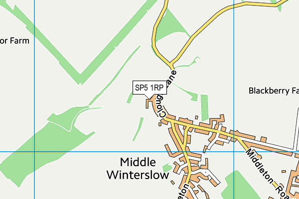 SP5 1RP map - OS VectorMap District (Ordnance Survey) SP5 1RP map - OS VectorMap District (Ordnance Survey)