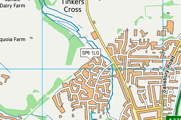 SP6 1LG map - OS VectorMap District (Ordnance Survey) SP6 1LG map - OS VectorMap District (Ordnance Survey)