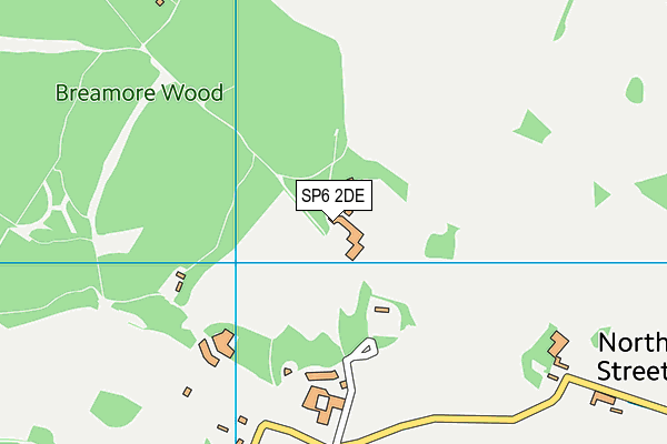 SP6 2DE map - OS VectorMap District (Ordnance Survey) SP6 2DE map - OS VectorMap District (Ordnance Survey)