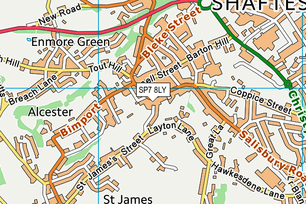 SP7 8LY map - OS VectorMap District (Ordnance Survey) SP7 8LY map - OS VectorMap District (Ordnance Survey)