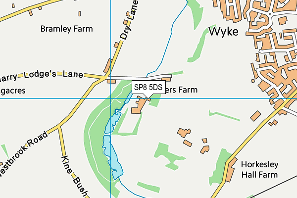 SP8 5DS map - OS VectorMap District (Ordnance Survey) SP8 5DS map - OS VectorMap District (Ordnance Survey)