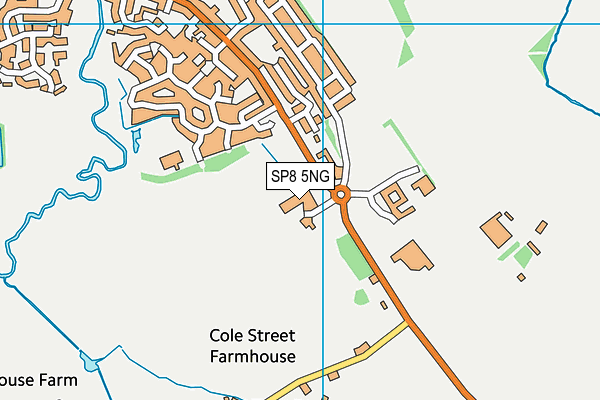 SP8 5NG map - OS VectorMap District (Ordnance Survey) SP8 5NG map - OS VectorMap District (Ordnance Survey)