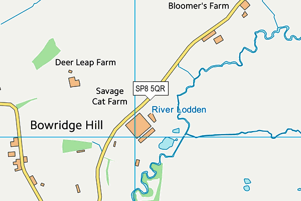 SP8 5QR map - OS VectorMap District (Ordnance Survey) SP8 5QR map - OS VectorMap District (Ordnance Survey)