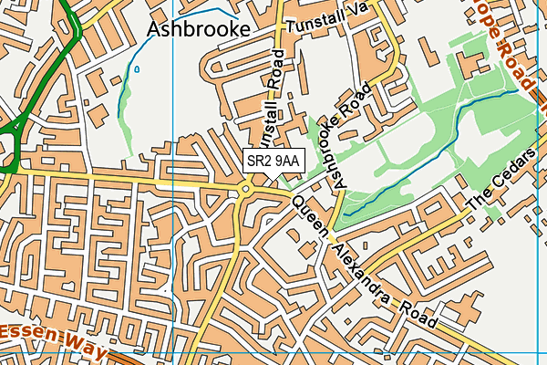 SR2 9AA map - OS VectorMap District (Ordnance Survey) SR2 9AA map - OS VectorMap District (Ordnance Survey)