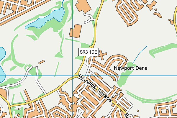 SR3 1DE map - OS VectorMap District (Ordnance Survey) SR3 1DE map - OS VectorMap District (Ordnance Survey)