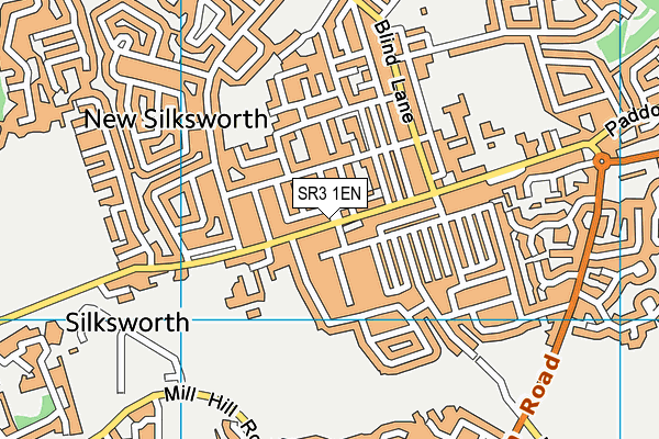 SR3 1EN map - OS VectorMap District (Ordnance Survey) SR3 1EN map - OS VectorMap District (Ordnance Survey)