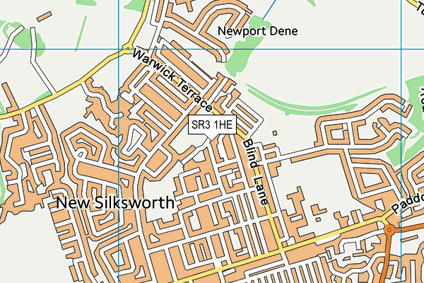 SR3 1HE map - OS VectorMap District (Ordnance Survey) SR3 1HE map - OS VectorMap District (Ordnance Survey)