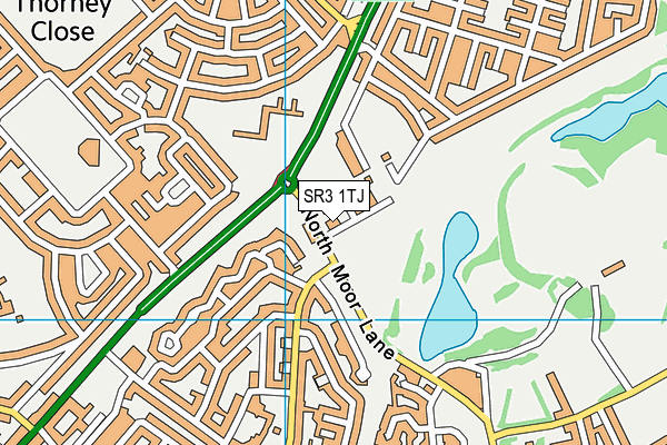 SR3 1TJ map - OS VectorMap District (Ordnance Survey) SR3 1TJ map - OS VectorMap District (Ordnance Survey)